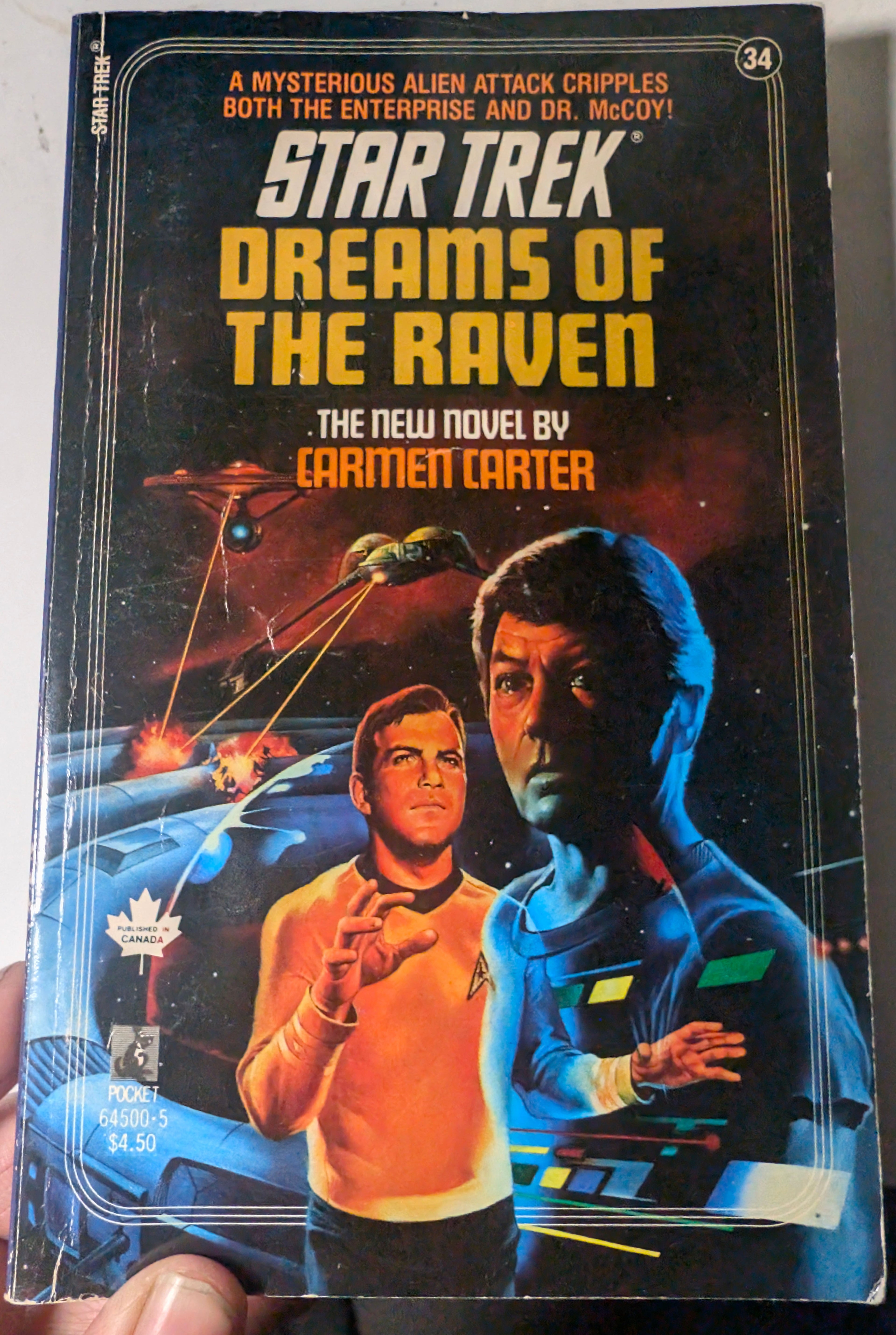 Star Trek: Dreams Of A Raven