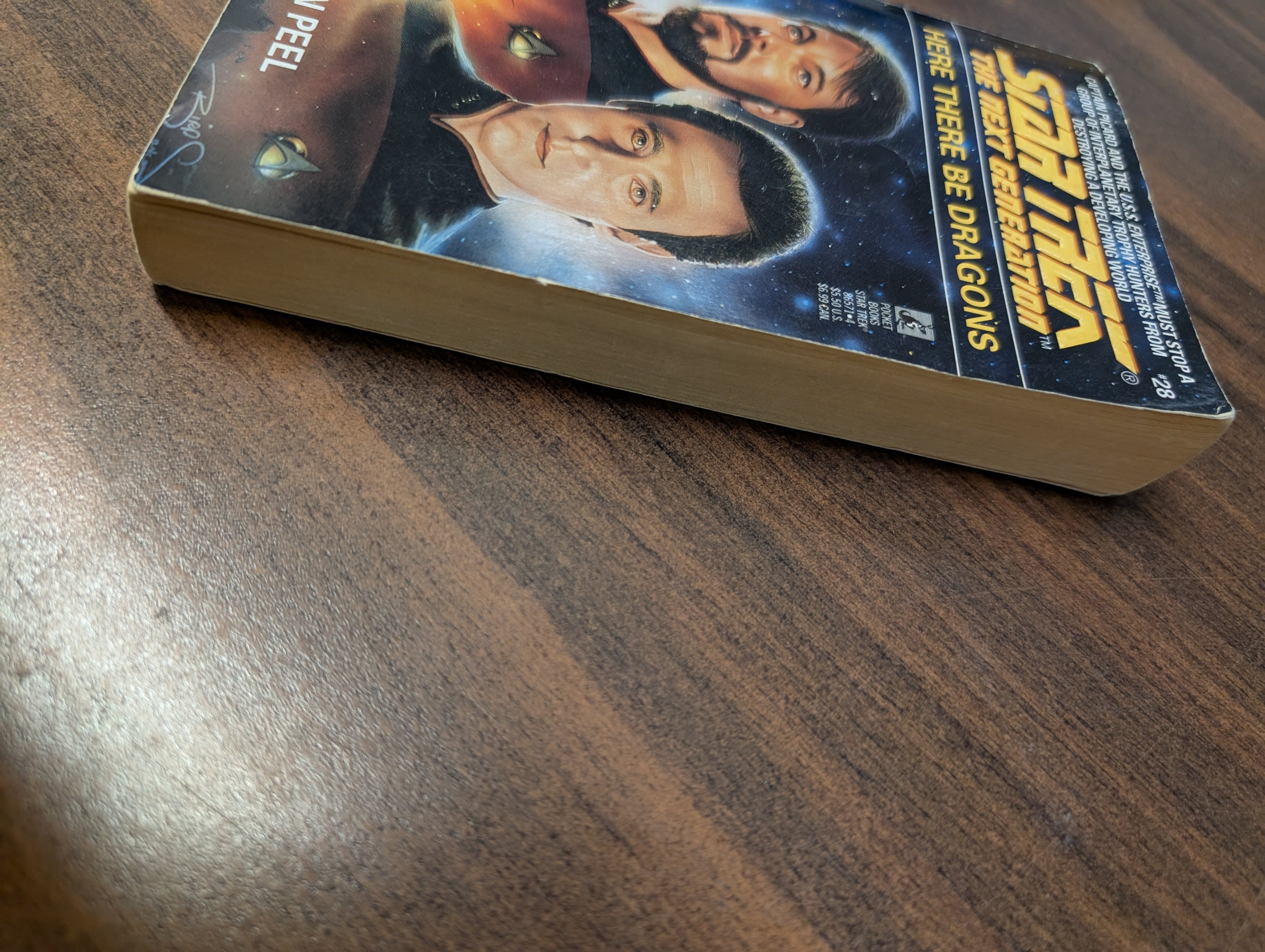 Star Trek TNG: Here There Be Dragons