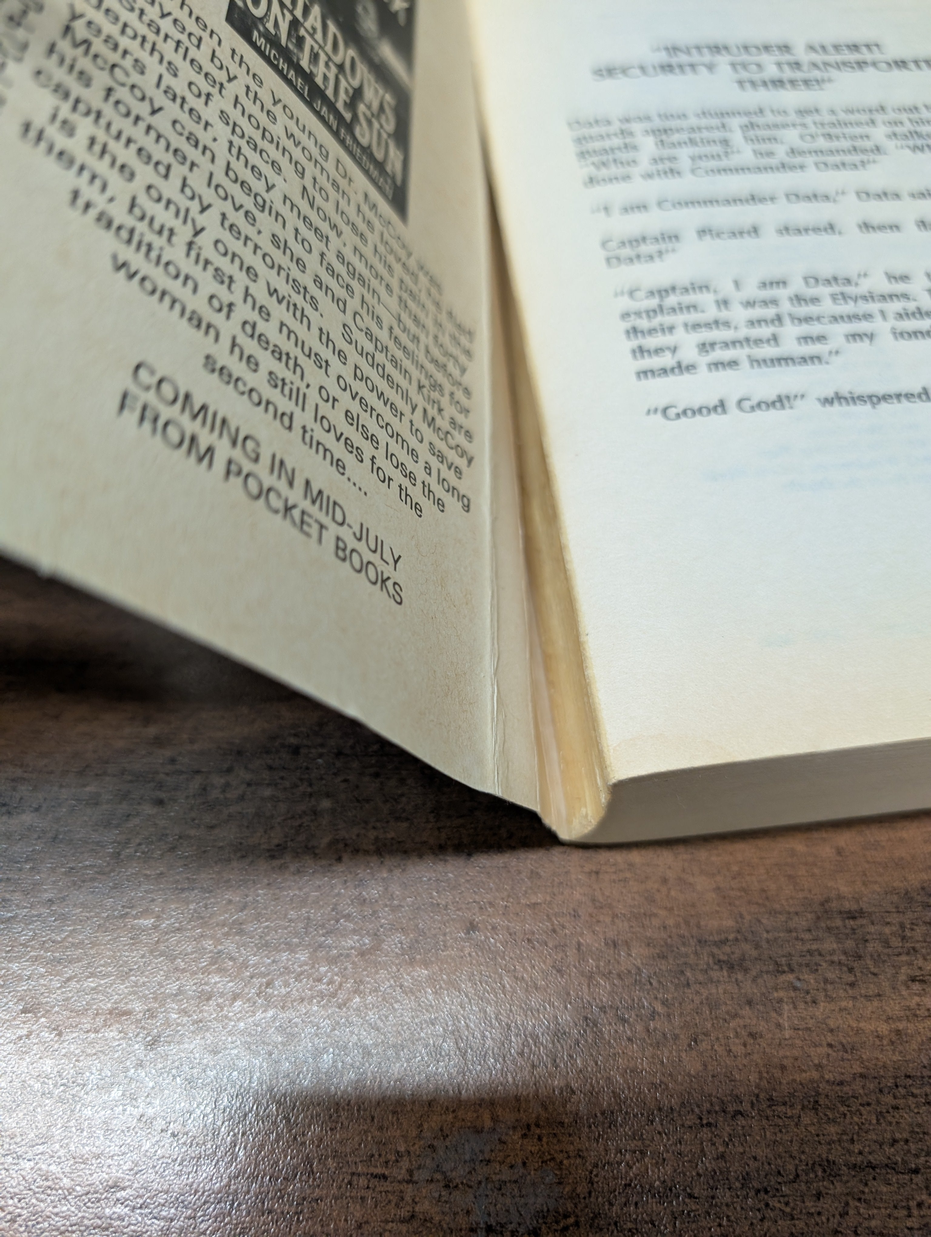 Star Trek TNG: Metamorphosis The Giant Novel